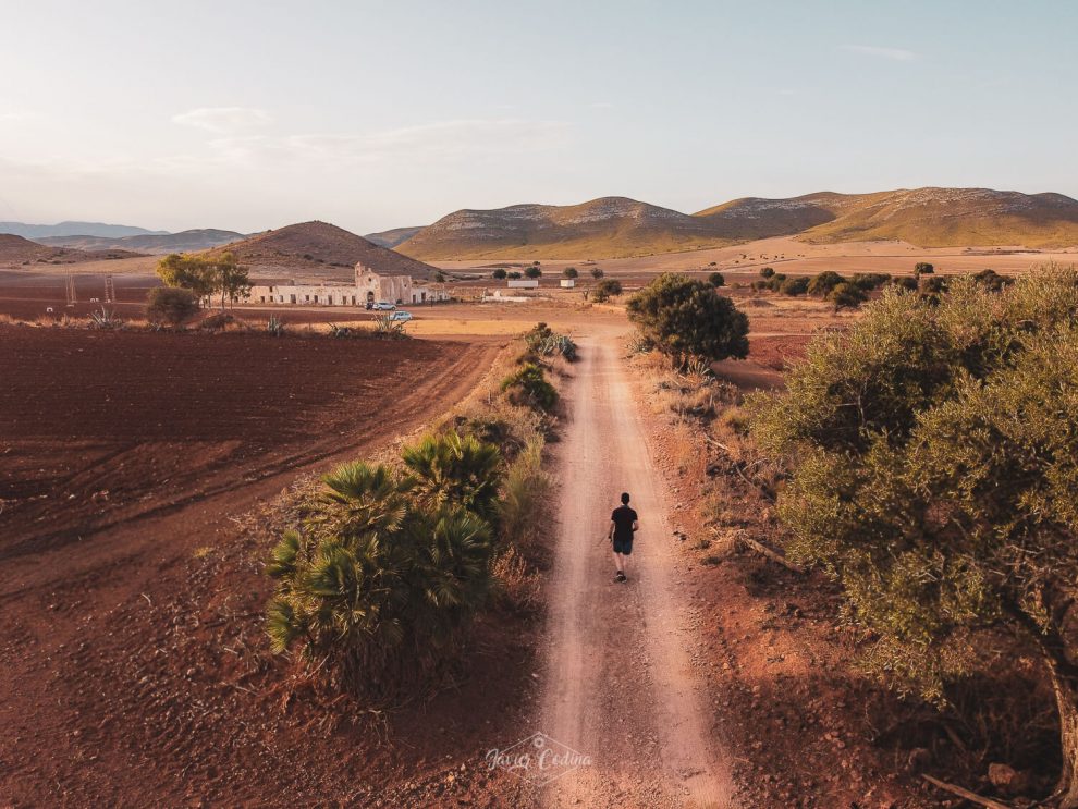 Camino al cortijo